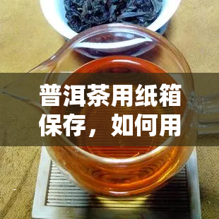 普洱茶的正确冲泡方法与品鉴步骤