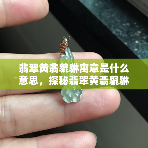 饮用普洱茶过程