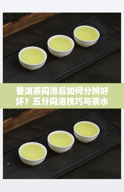 全方位普洱茶存防虫策略，确保茶叶品质