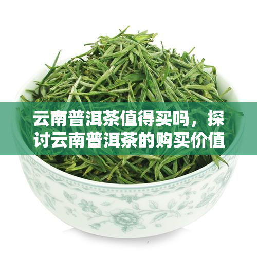 普洱茶所含物质及其作用