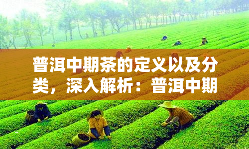 咋样保存普洱茶不发霉不变质：防霉防虫窍门