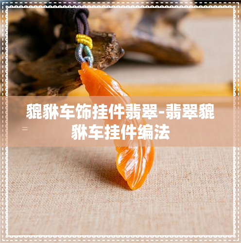 保存普洱茶用什么容器：综合比较与选择