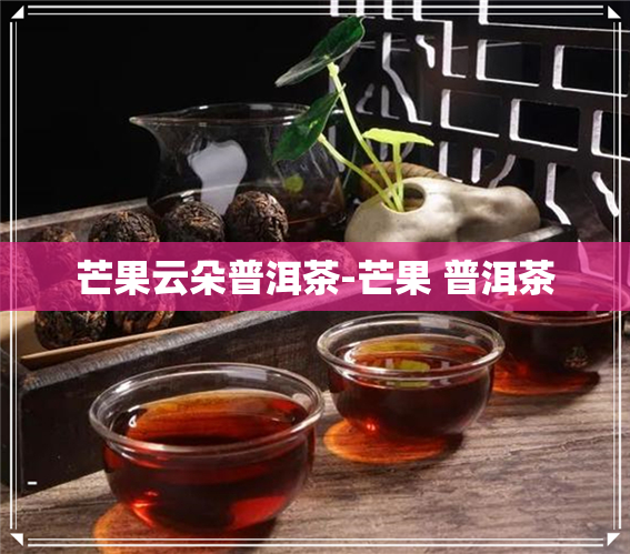 普洱茶的饮用方式详解：泡饮技巧与品鉴要点