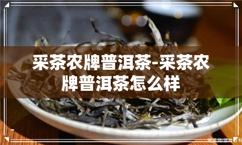 有收藏价值的普洱茶叶罐盘点