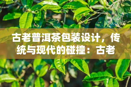 中古茶堂哈尼王子普洱茶价格