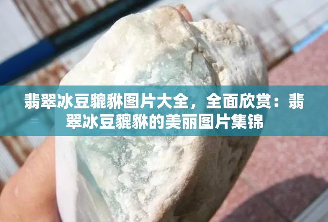 还信用卡输错卡号名字对怎么办，银行不退款，名字和卡号不匹配能否还款