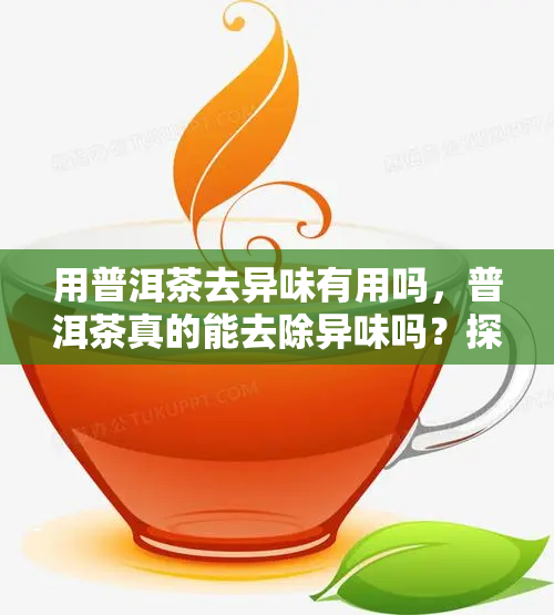 普洱茶轻度发霉还能喝吗？安全饮用指南