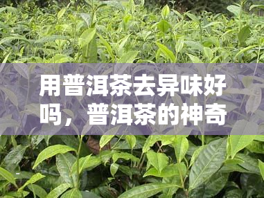 信用卡贷款还清后如何办理相关手续？