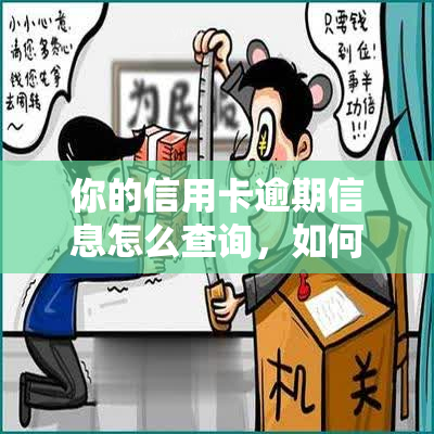 普洱茶知识宝库：全面了解这一传统饮品