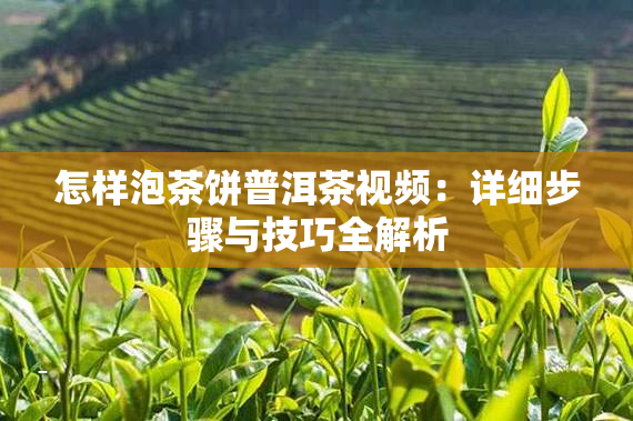 探寻普洱茶极品珍藏价值几何：珍稀茶叶的市场价位分析