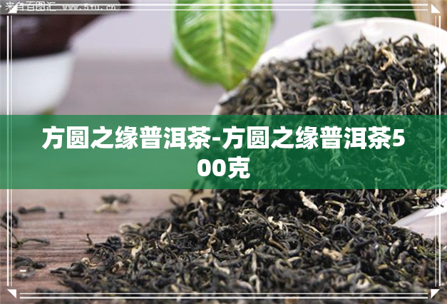 孕妇适量饮用普洱茶是否有益：探讨孕妇饮茶的科学性